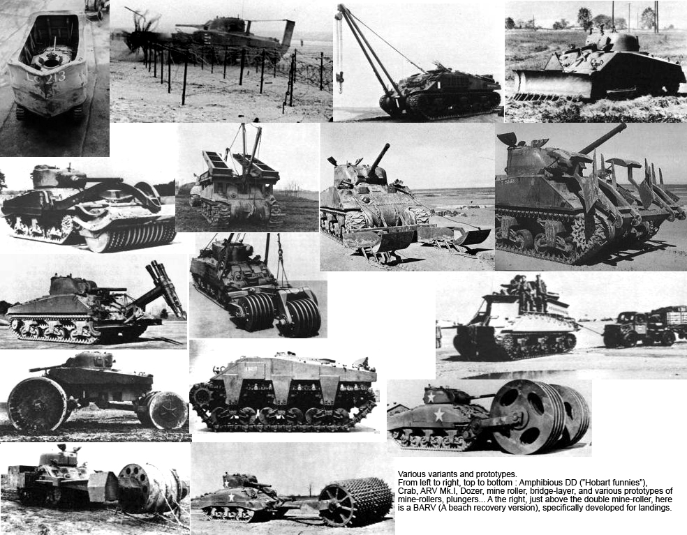 Various special-purpose Sherman versions